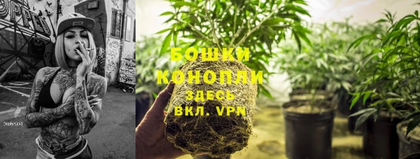 mdpv Медногорск