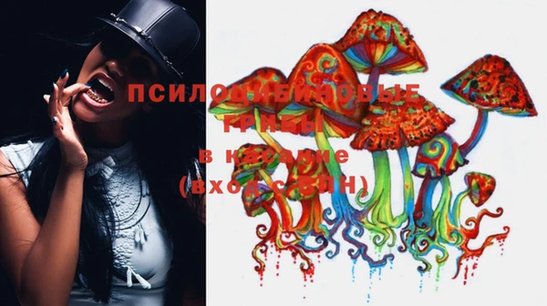 a pvp Медвежьегорск