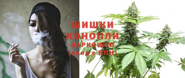 гидра Мегион