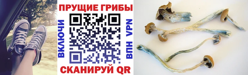 Галлюциногенные грибы ЛСД  darknet какой сайт  Эртиль 